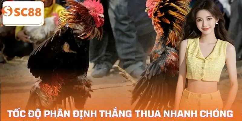 da-ga-cua-sat-va-da-ga-cua-dao-toc-do-phan-thang-bai