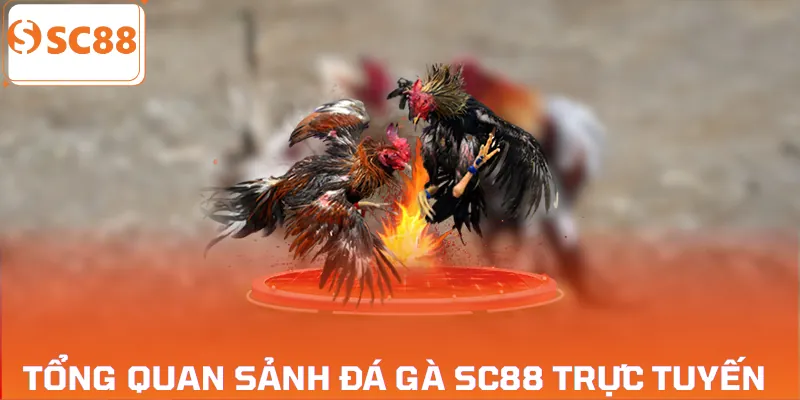 da-ga-sc88-tong-quan
