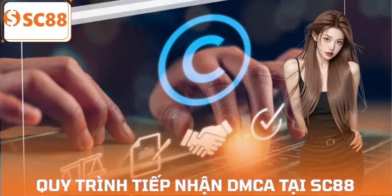 khieu-nai-ban-quyen-dmca-quy-trinh-tiep-nhan